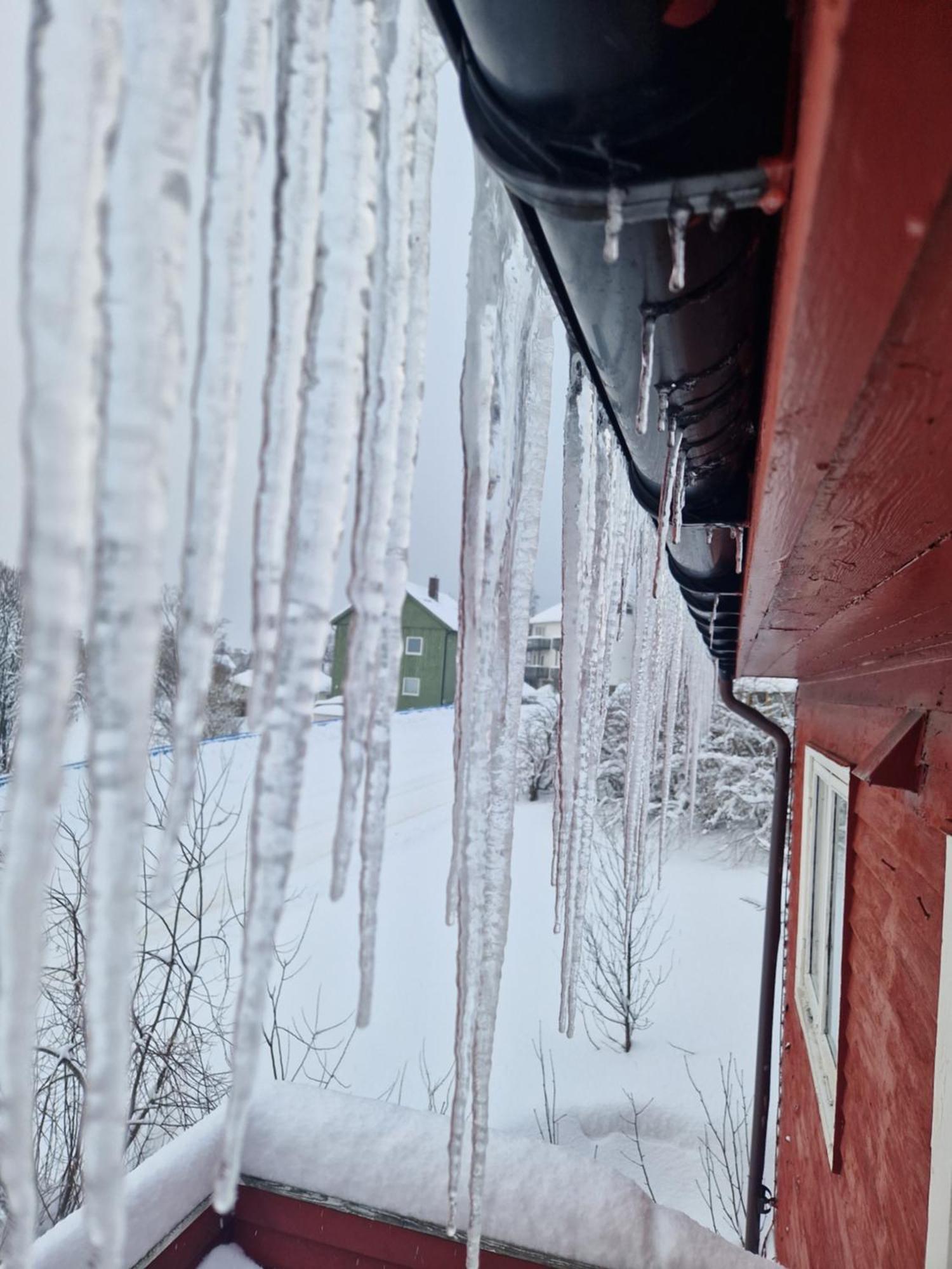 Semi-Detached House Downtown Daire Tromsø Dış mekan fotoğraf